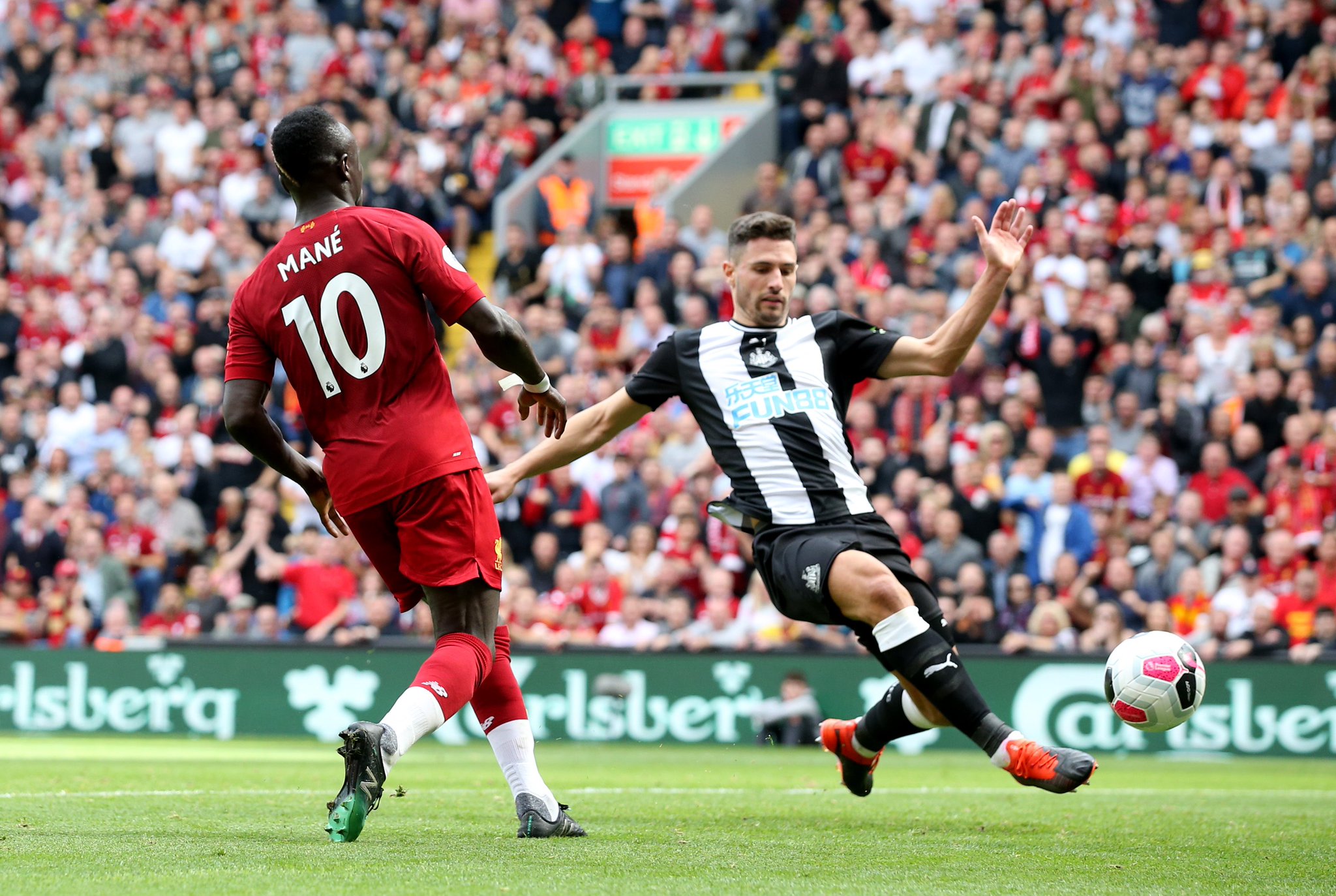 他有望成为 他有望成为