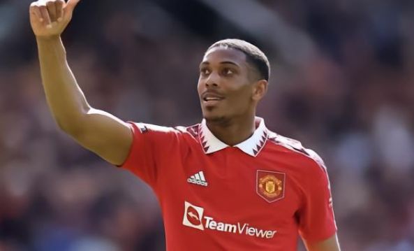 约翰逊打包 约翰逊打包